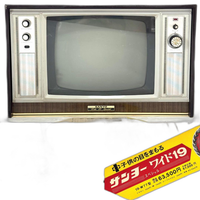 Sanyo Crt Tv Video 19-W77