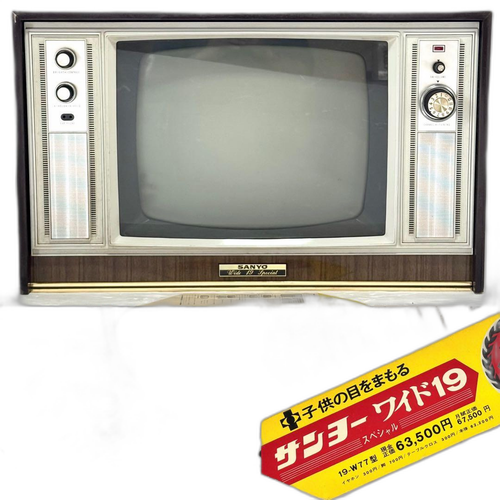 Sanyo Crt Tv Video 19-W77