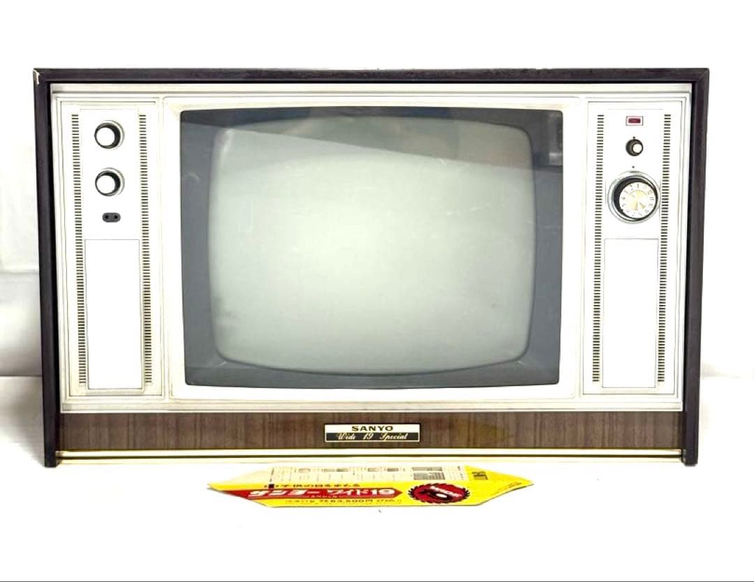 Sanyo Crt Tv Video 19-W77