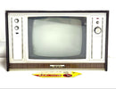 Sanyo Crt Tv Video 19-W77