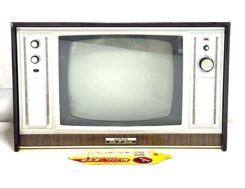 Sanyo Crt Tv Video 19-W77
