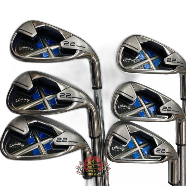 Single Iron X 22 6S Ir Ns Pro 950Gh R) D