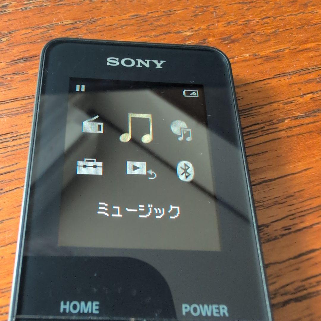 Sony Digital Audio Players Nw-S313