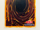 Yu -Gi -Oh! Ocg Duel Monsters 10113