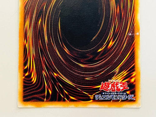 Yu -Gi -Oh! Ocg Duel Monsters 10113