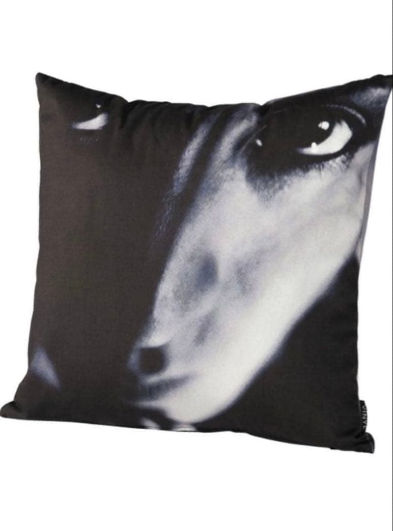 Others Amplifier Vinyl "Sugizo"..