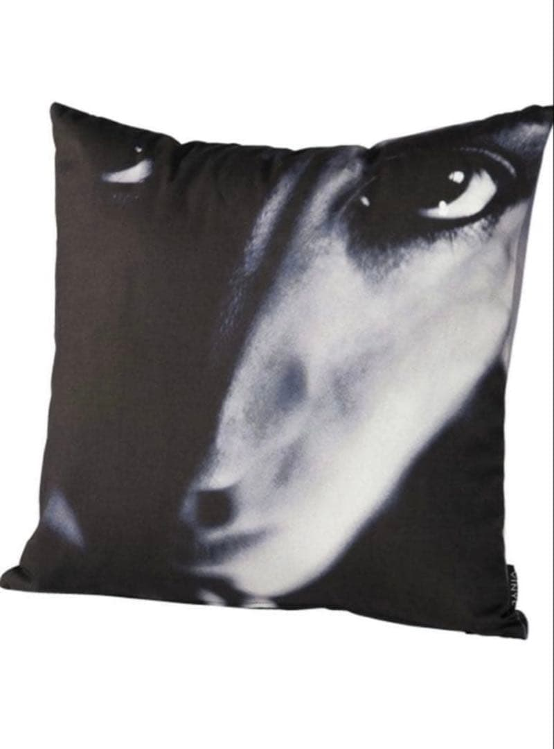 Others Amplifier Vinyl "Sugizo"..