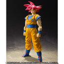 S.H.Figuarts Dragon Ball