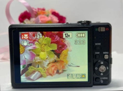 Compact Digital Camera Lumix 12