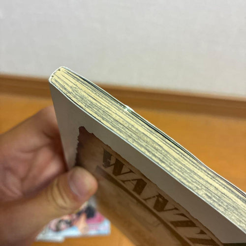 Sh Nen Manga One Piece 2018