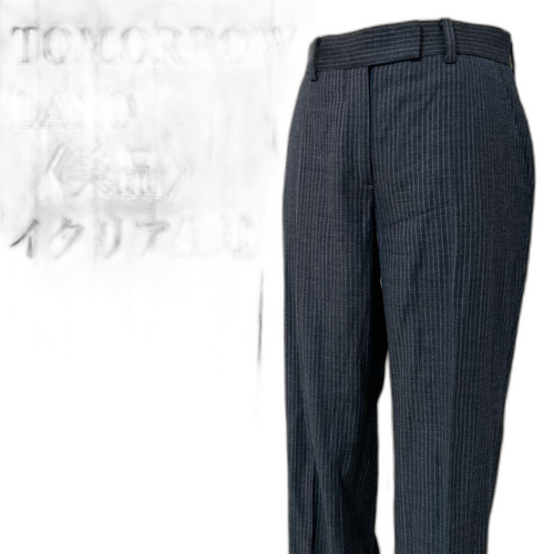 Tomorrowland Slacks