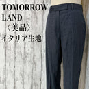 Tomorrowland Slacks