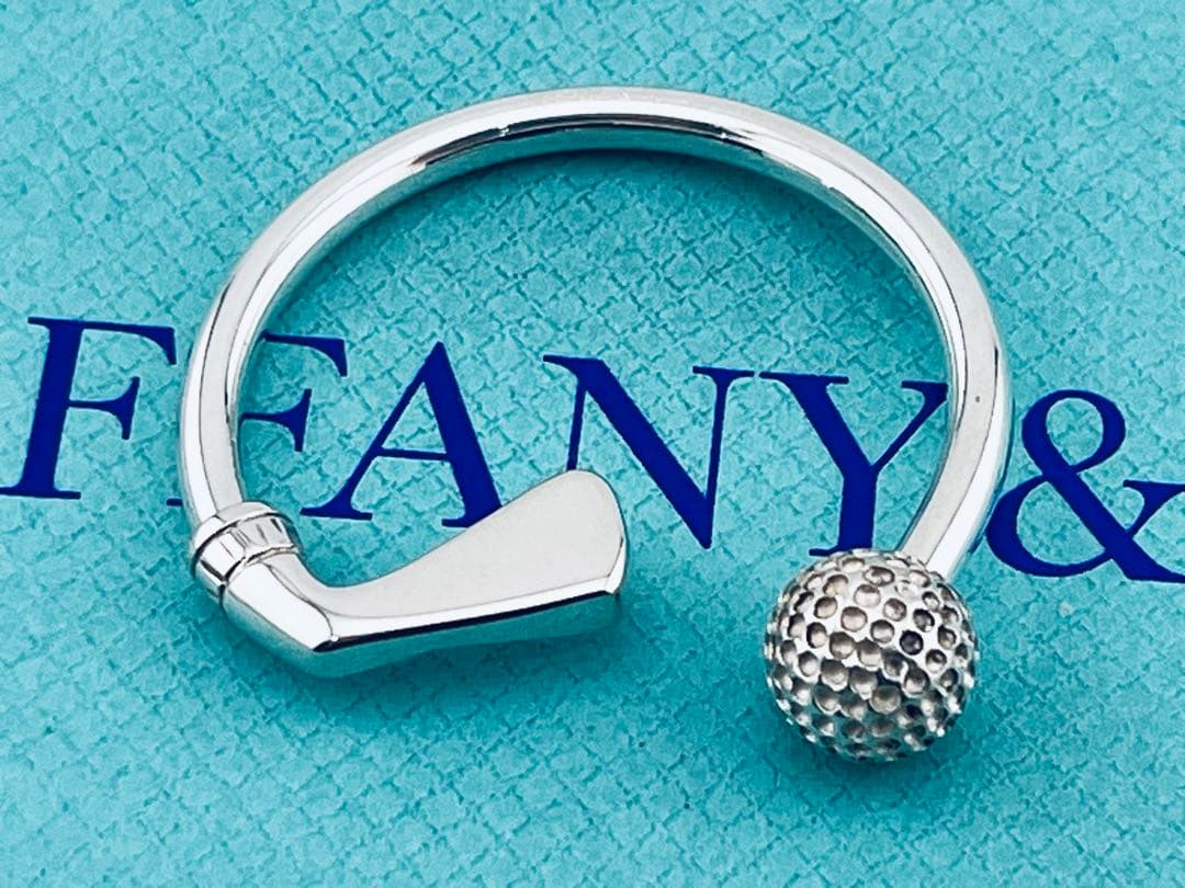 Tiffany Keychains Key Rings D152 925