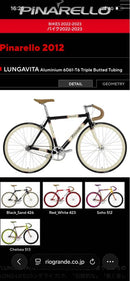 Pinarello Piste Bike Single 2012