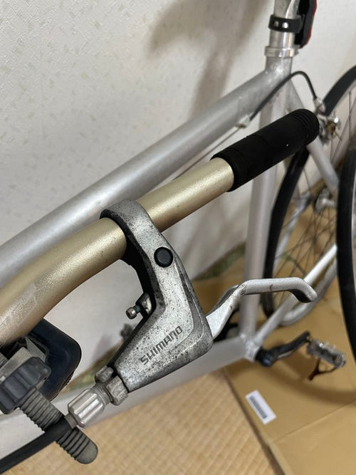 Pinarello Piste Bike Single 2012