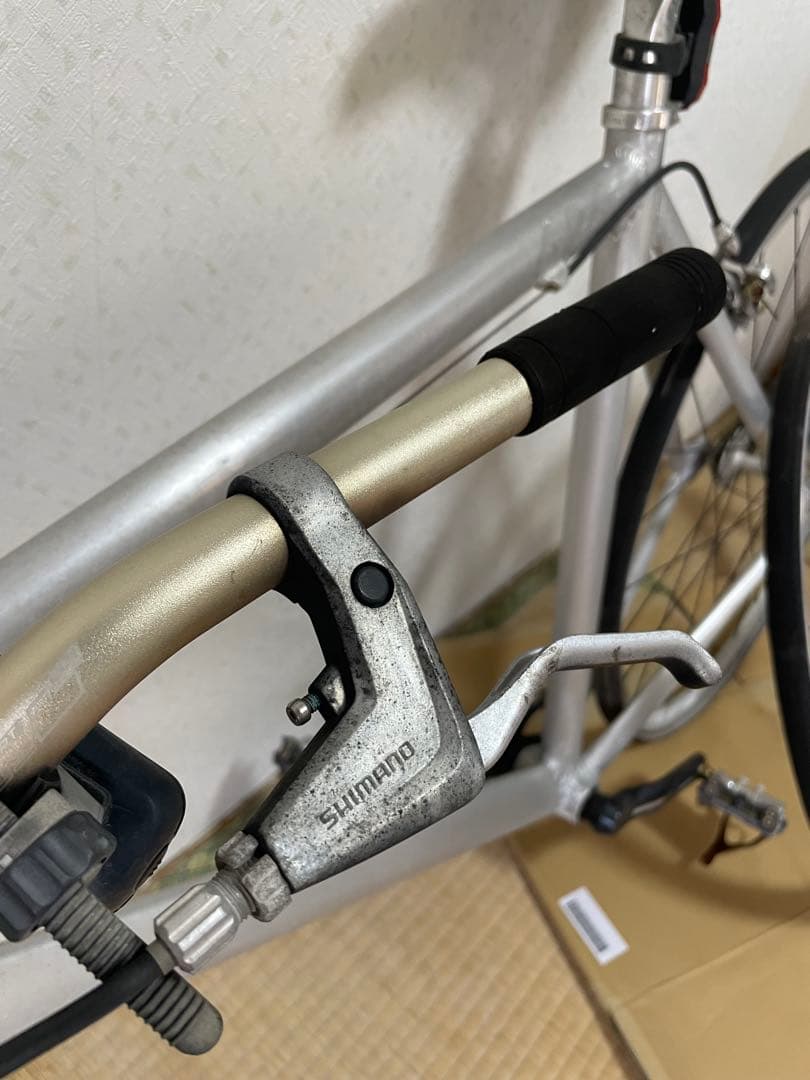 Pinarello Piste Bike Single 2012