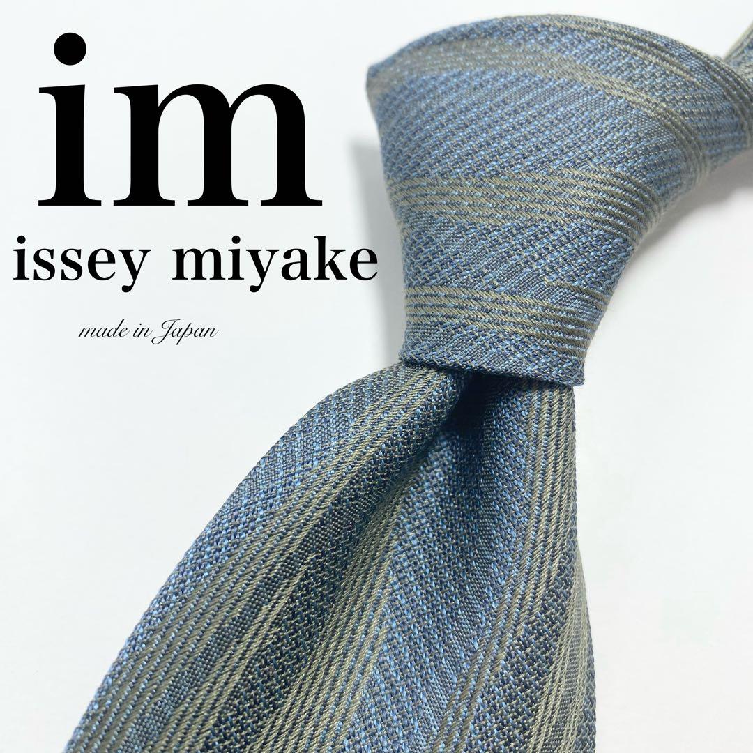 Issey Miyake Ties Im