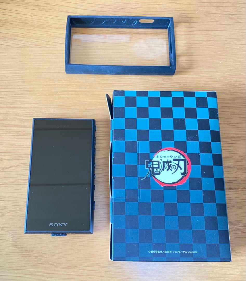 Sony Digital Audio Player