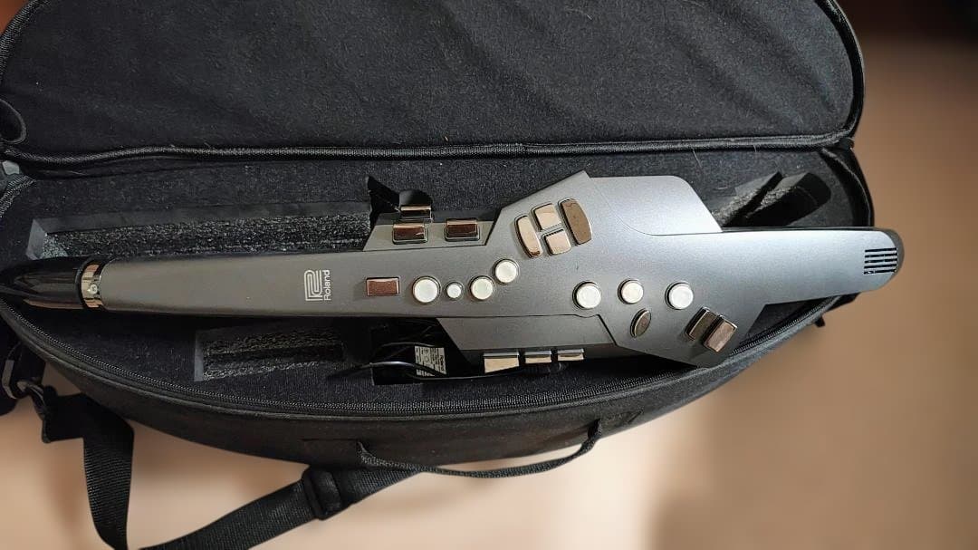 Roland Other Aerophone Ae-10