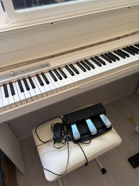 Korg Keyboards Digital Pianos (2019