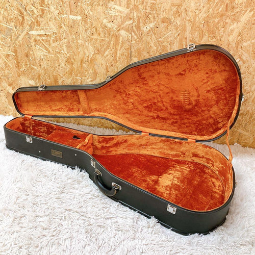 Guitar Cases Yamaha