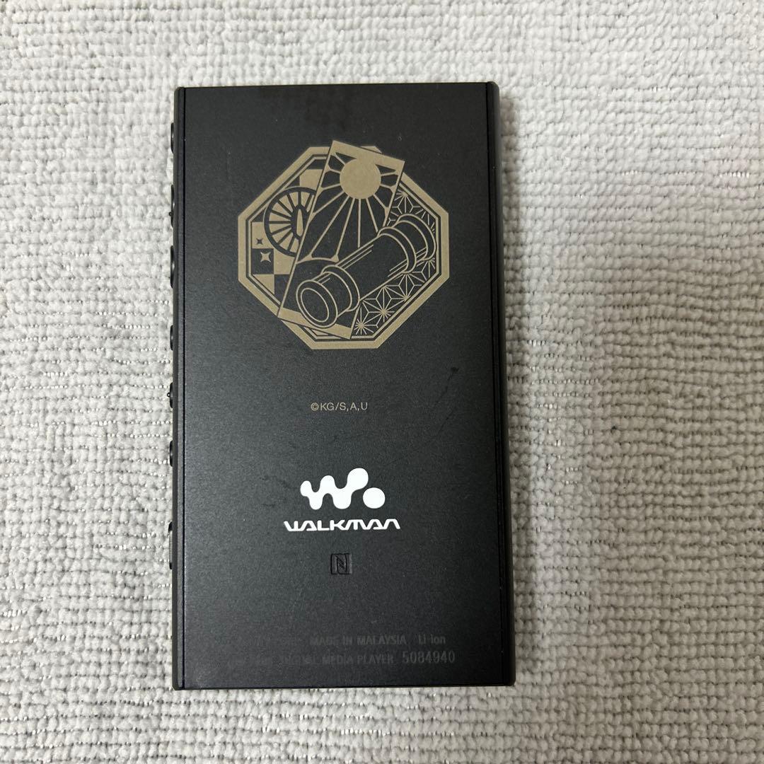 Sony Digital Audio Player Nw-A105