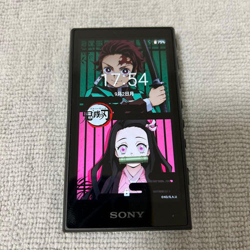 Sony Digital Audio Player Nw-A105