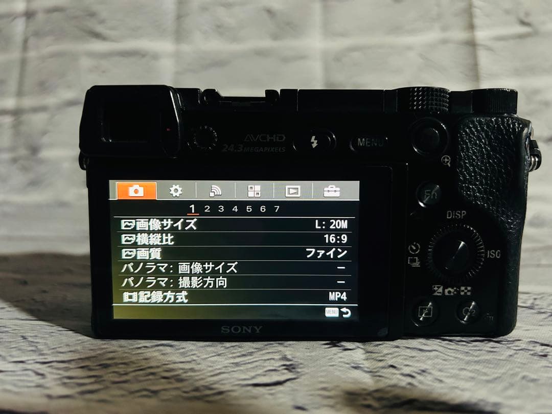 Sony Mirrorless Interchangeable Lens Cameras 6000