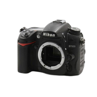 Nikon Digital Slr D7000 258