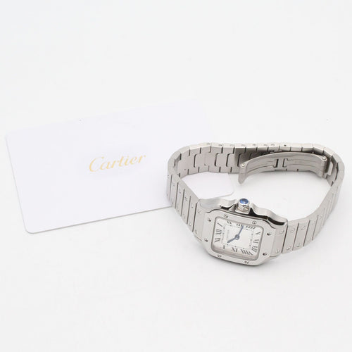 Cartier Others Sm Wssa0082 Used A