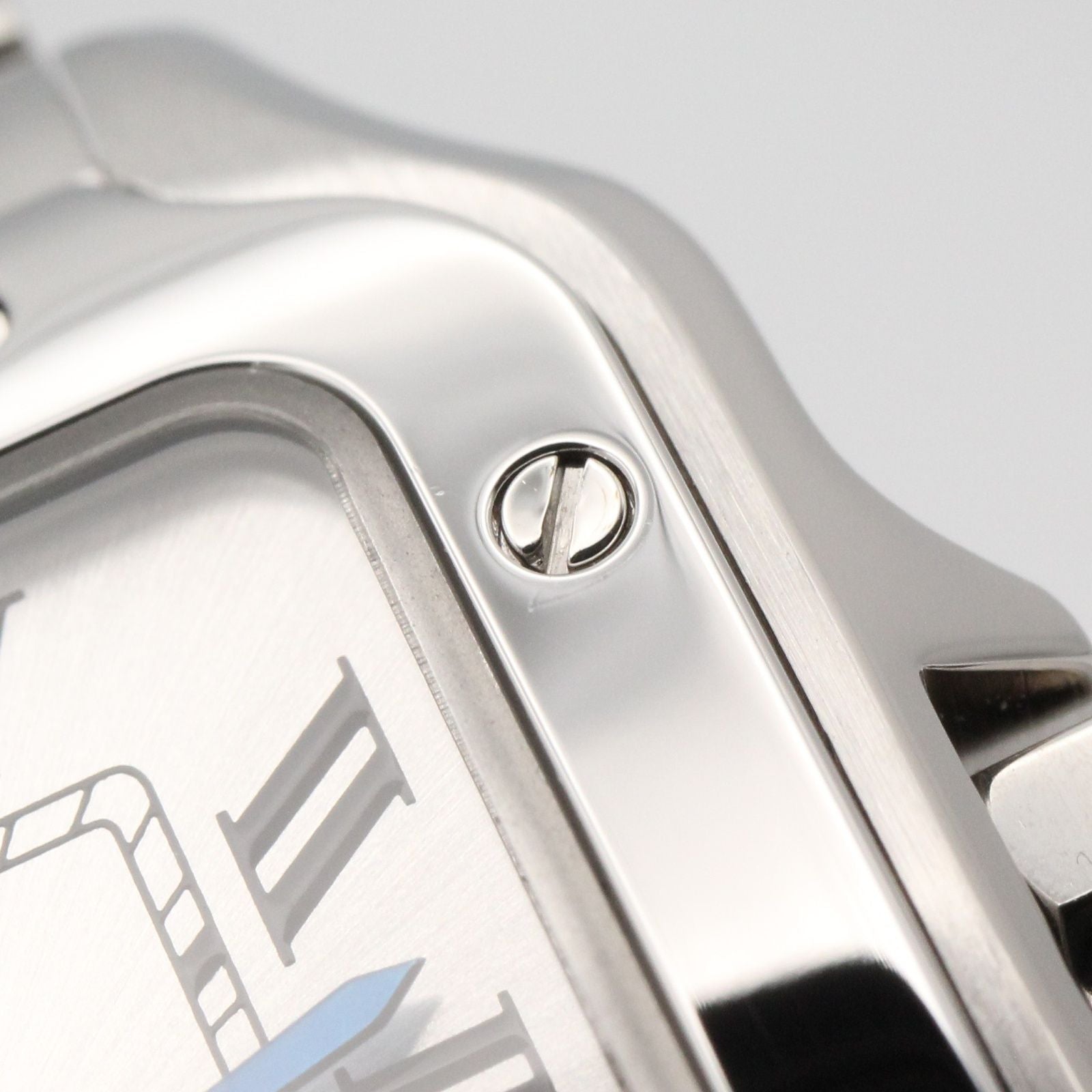 Cartier Others Sm Wssa0082 Used A