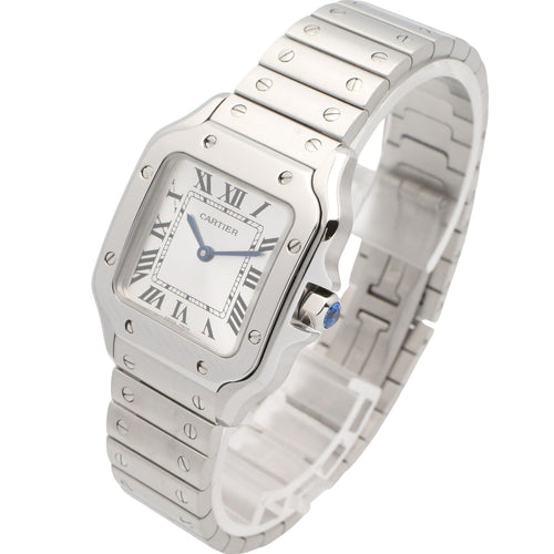 Cartier Others Sm Wssa0082 Used A