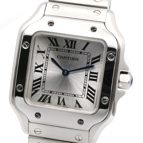 Cartier Others Sm Wssa0082 Used A