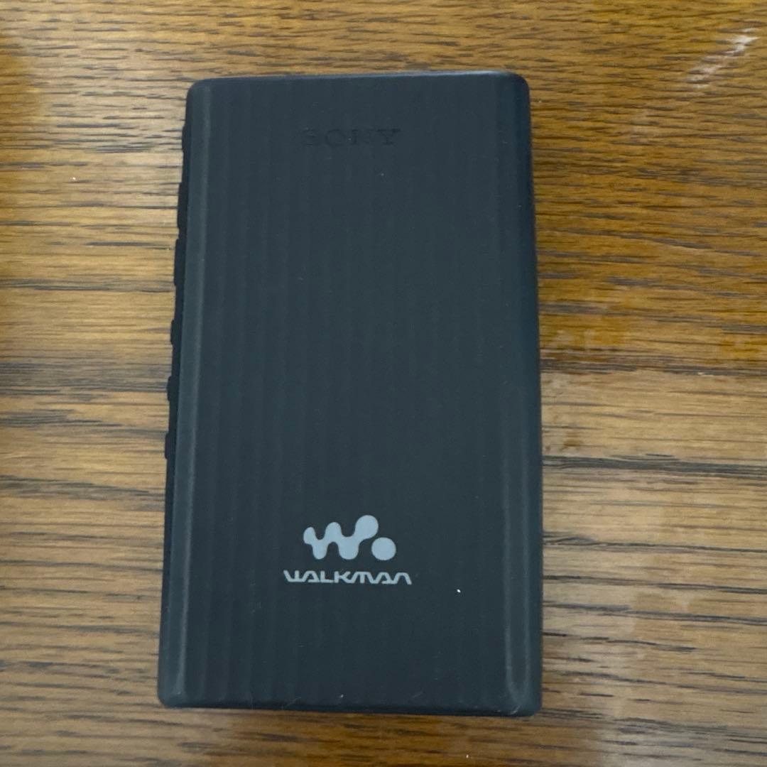 Sony Portable Amplifiers Dacs Nw-A306 32Gb