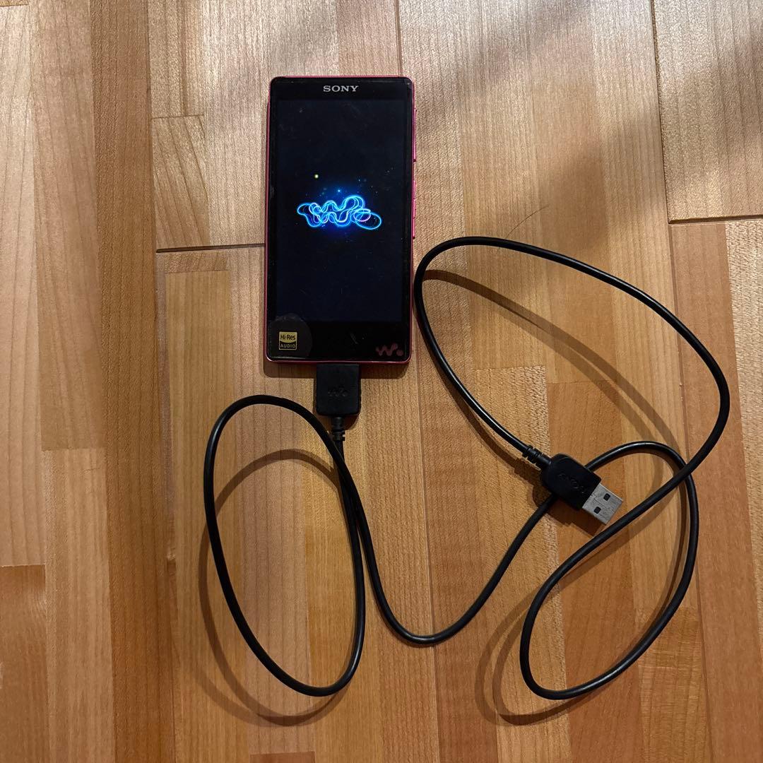 Sony Digital Audio Player