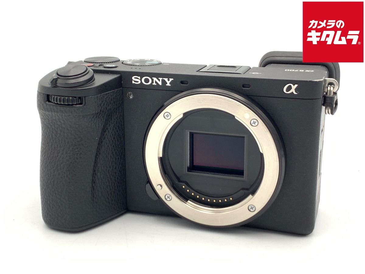 Mirrorless Interchangeable Lips 6700 [Ilce-6700]