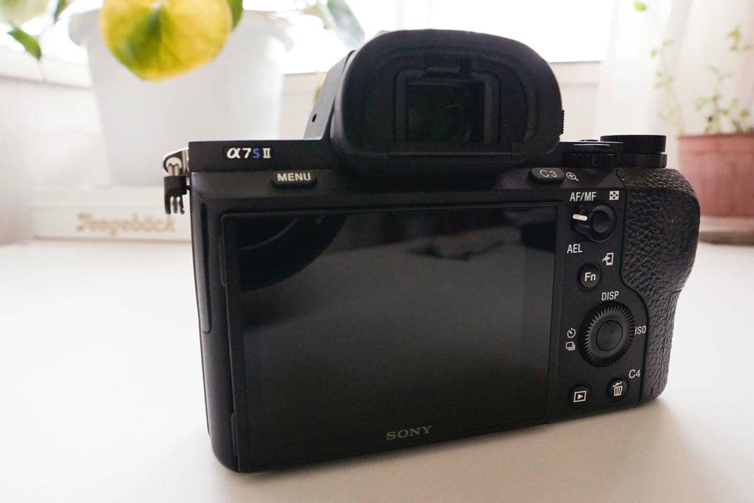 Sony Digital Slrs 3 7S Ii