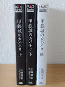 Literature Novel 3