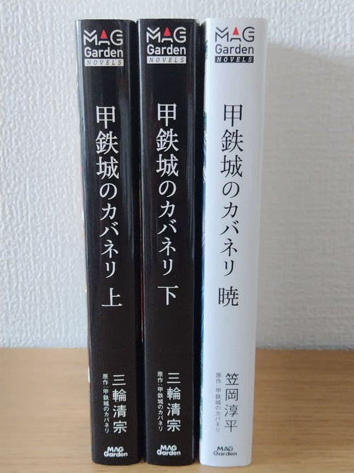 Literature Novel 3