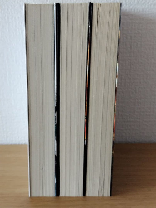 Literature Novel 3