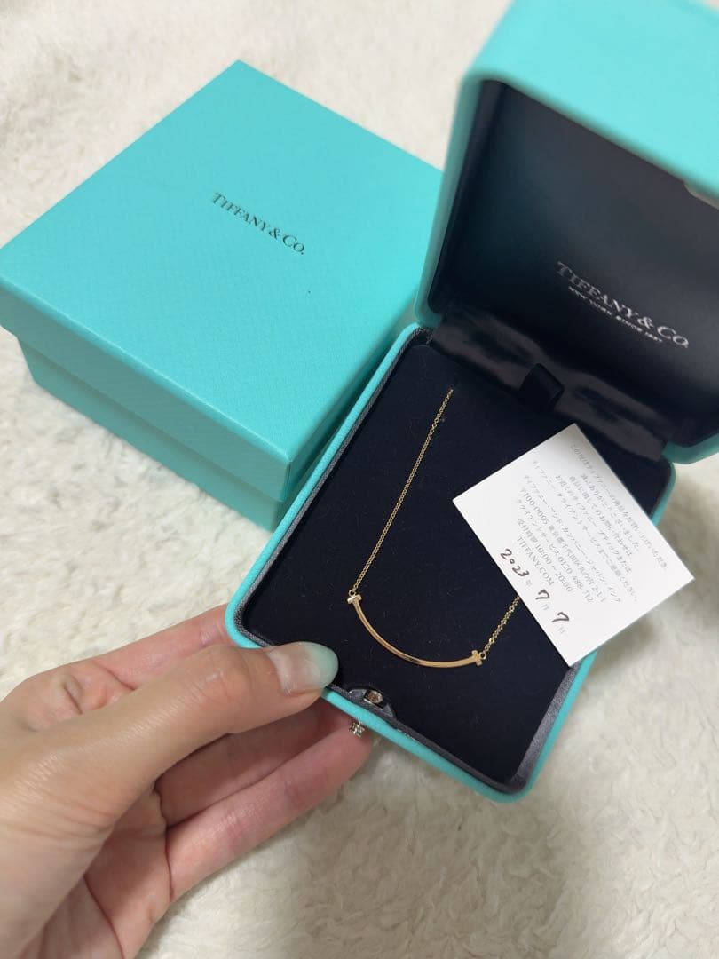 Tiffany Necklaces Co. T