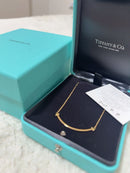 Tiffany Necklaces Co. T