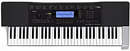 Analog Synthesizer 61 Ctk-4400