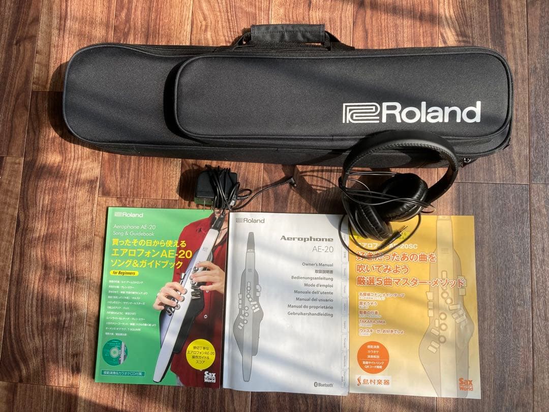 Roland Others Ae-20