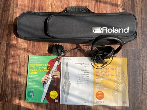 Roland Others Ae-20
