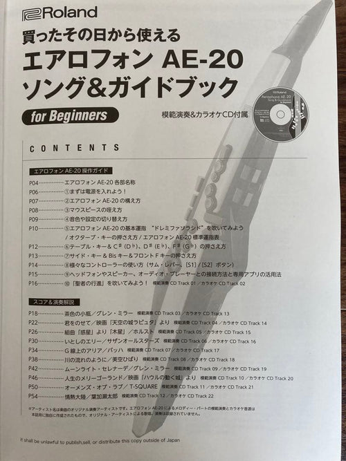 Roland Others Ae-20