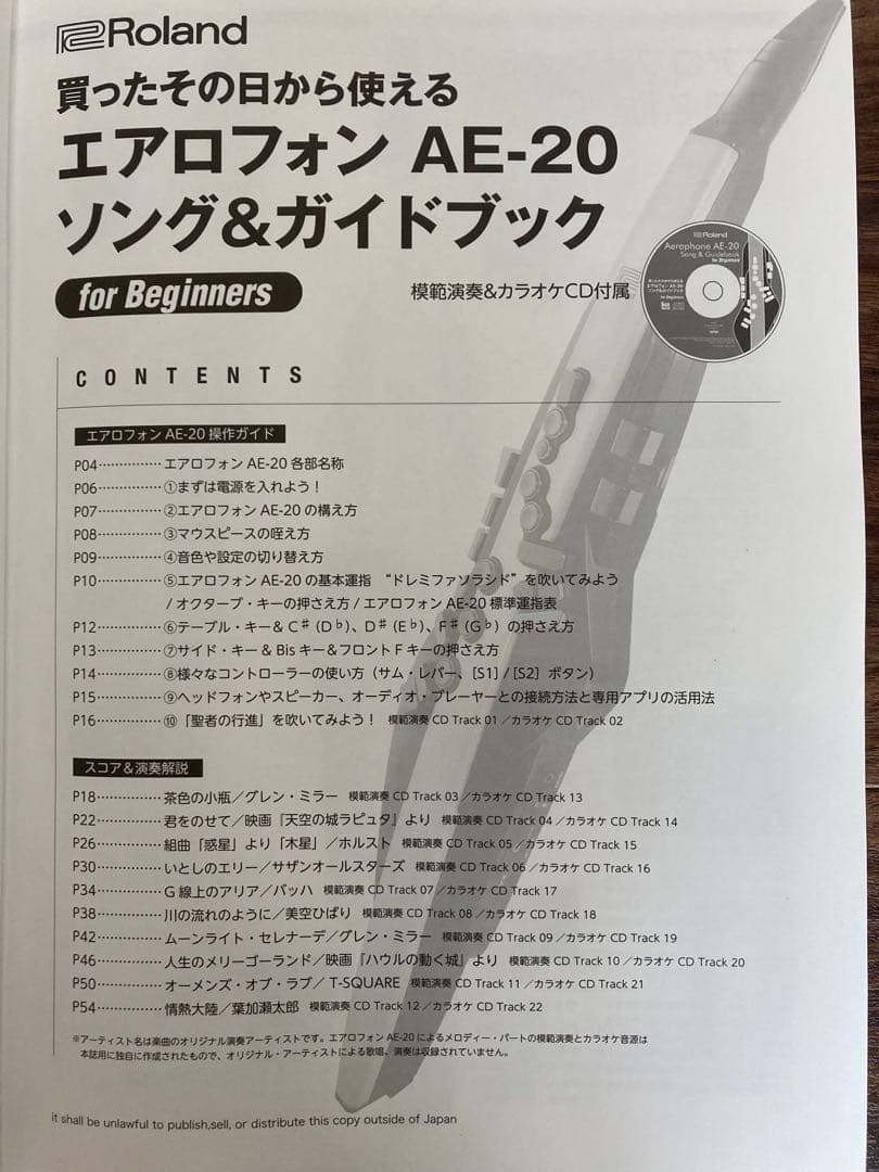 Roland Others Ae-20
