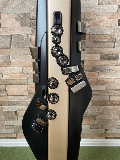 Roland Others Ae-20