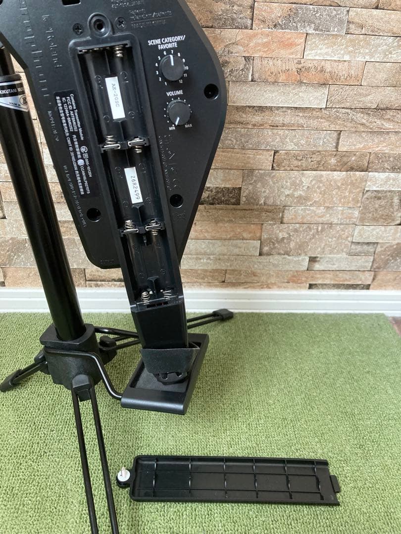 Roland Others Ae-20