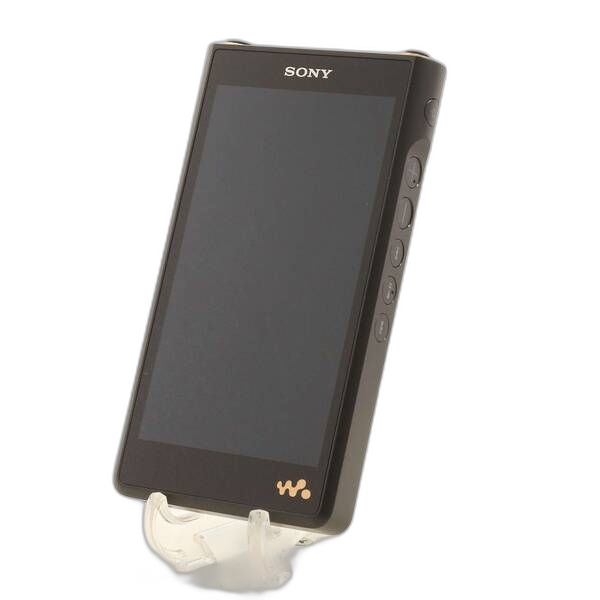 Sony Digital Audio Player Walkman Wm1Am2 128Gb+Microsd Nw-Wm1Am2 262